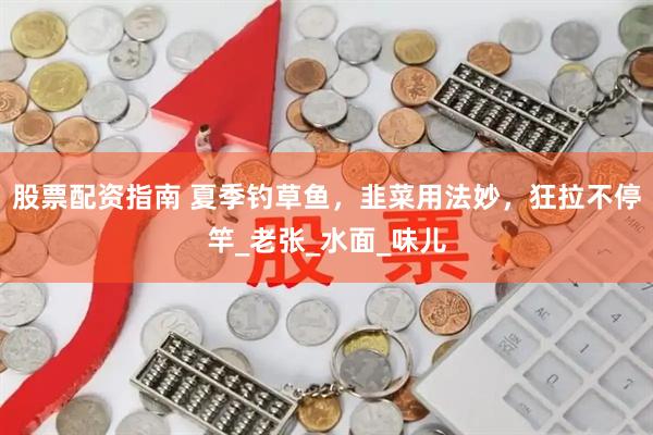 股票配资指南 夏季钓草鱼，韭菜用法妙，狂拉不停竿_老张_水面_味儿