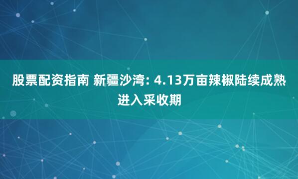 股票配资指南 新疆沙湾: 4.13万亩辣椒陆续成熟进入采收期