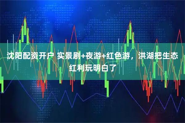 沈阳配资开户 实景剧+夜游+红色游，洪湖把生态红利玩明白了